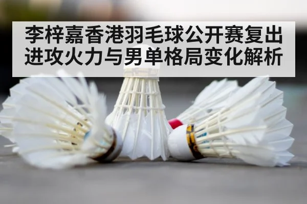 badminton court shuttlecock